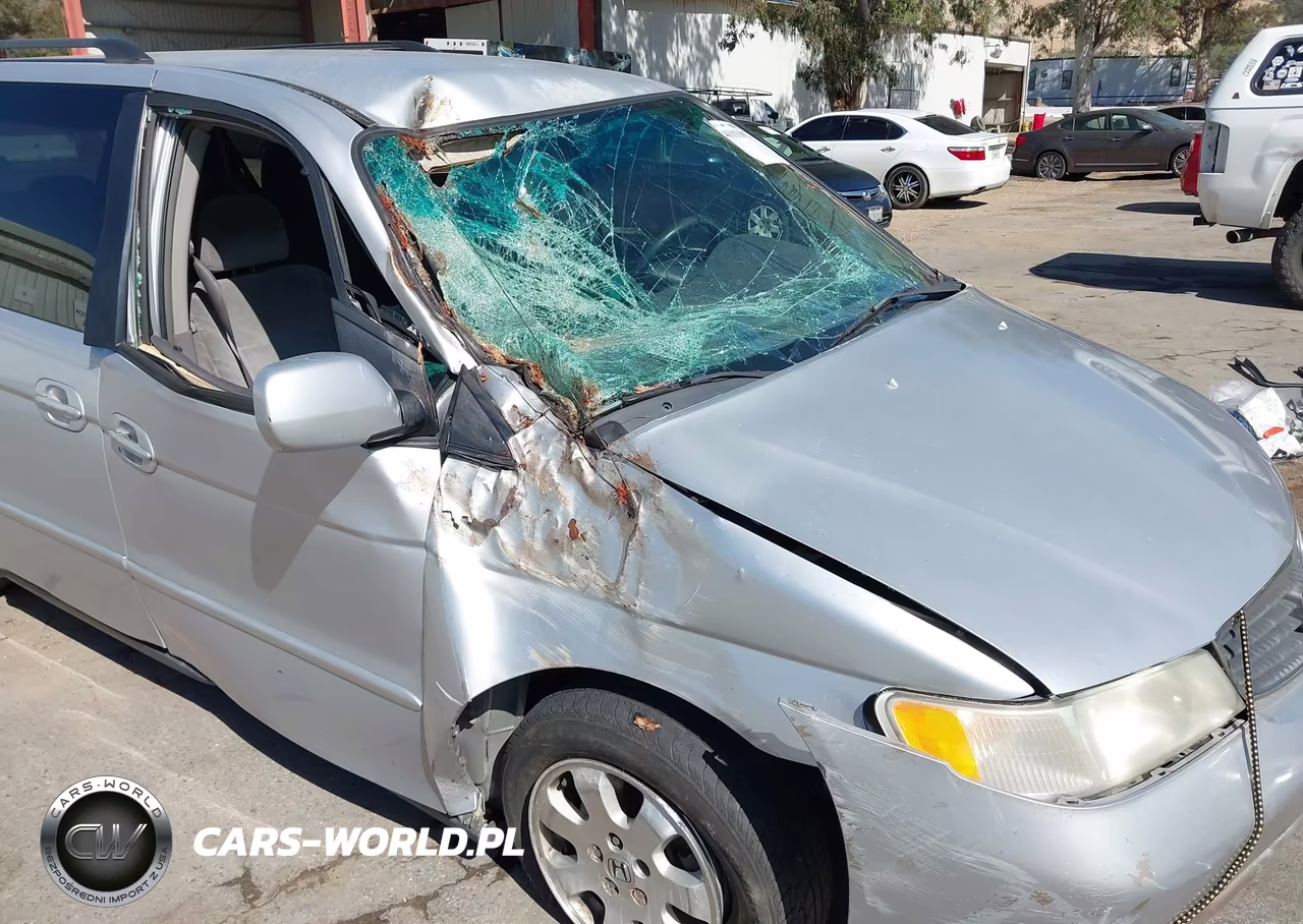 2004 Honda Odyssey Ex VIN:5FNRL18834B114063 - 6