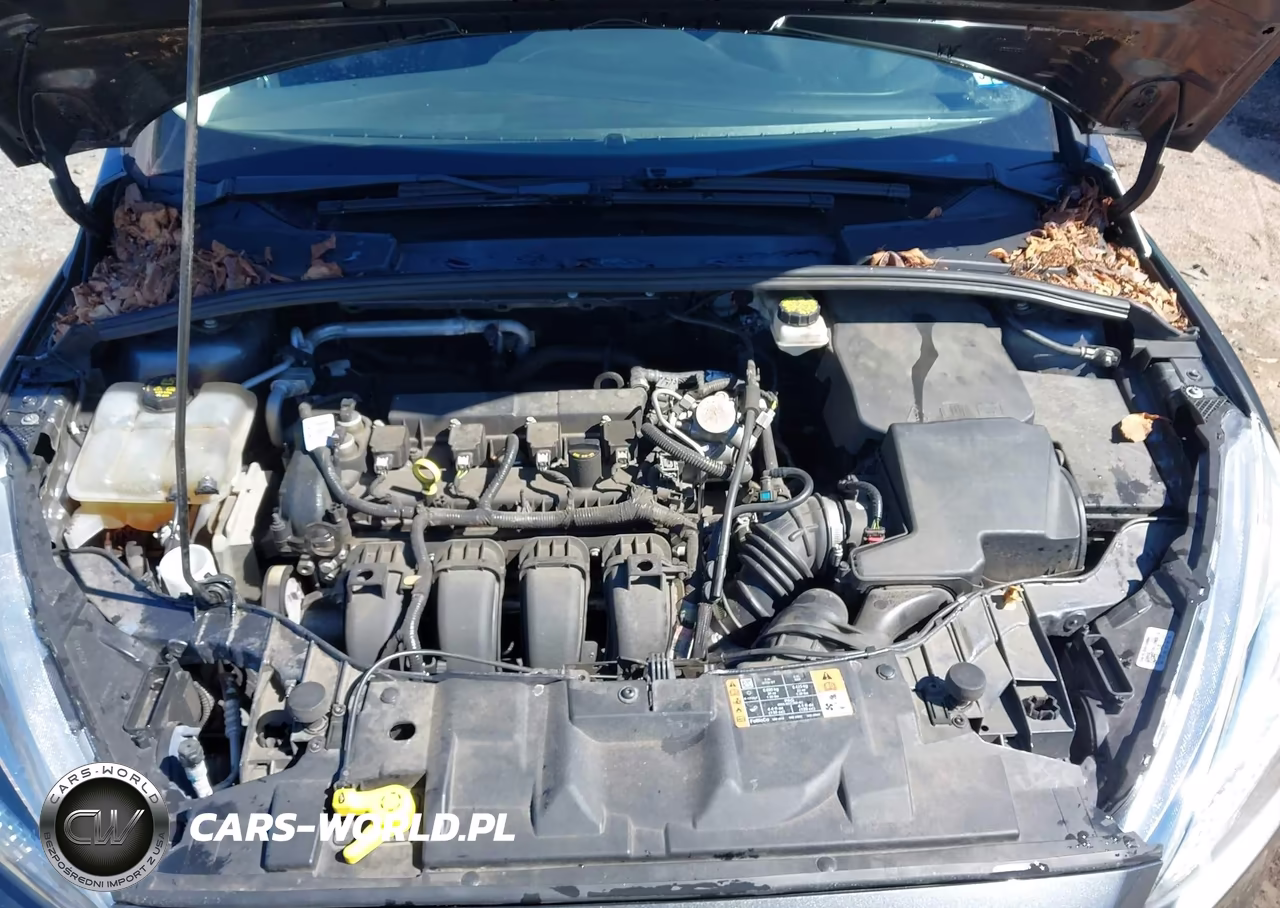 2018 Ford Focus Se VIN:1FADP3F24JL310908 - 10