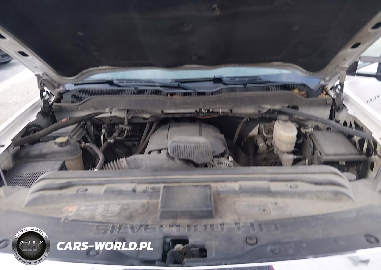 2019 Chevrolet Silverado 2500Hd Wt VIN:2GB2KREG2K1202203 - 10