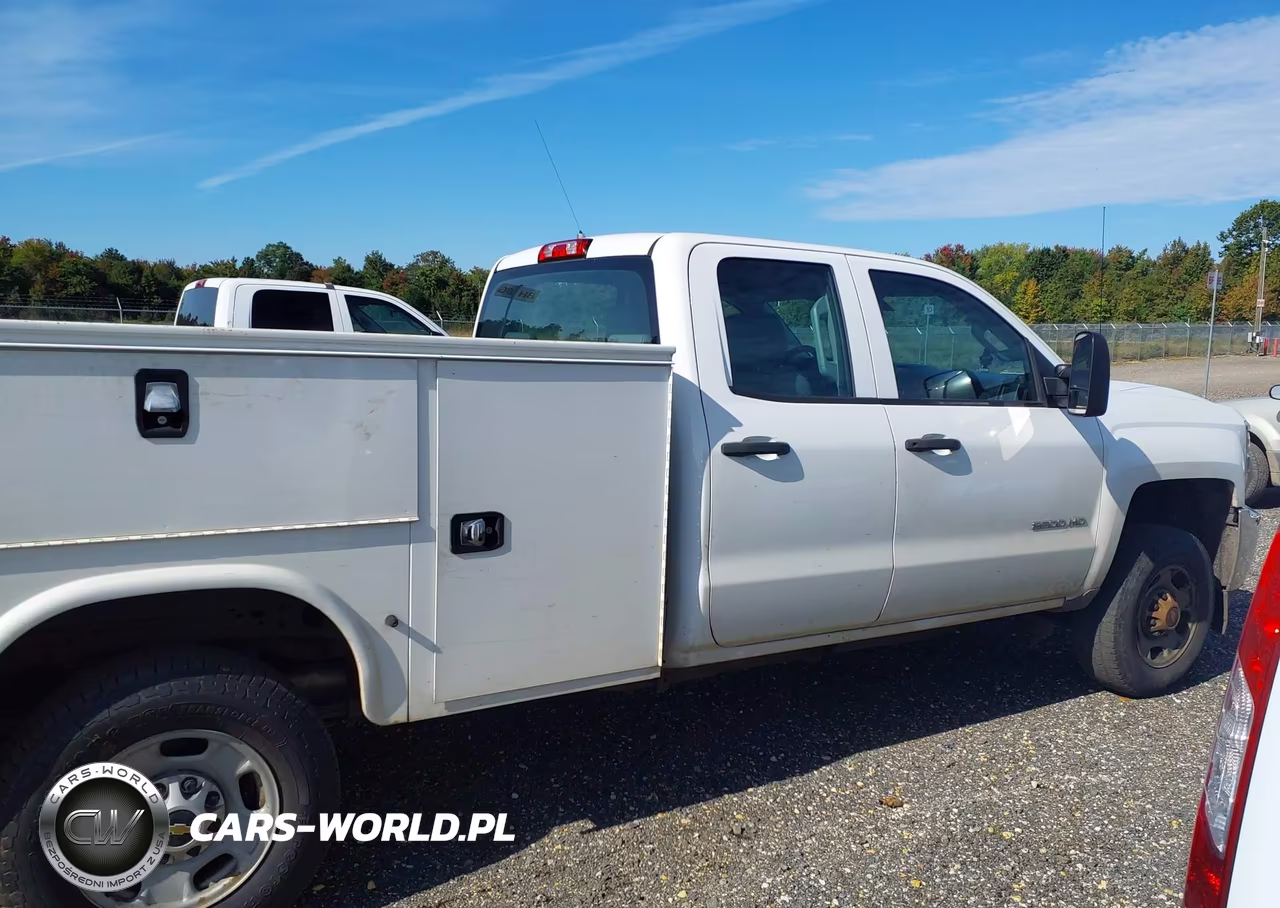 2019 Chevrolet Silverado 2500Hd Wt VIN:2GB2KREG2K1202203 - 18