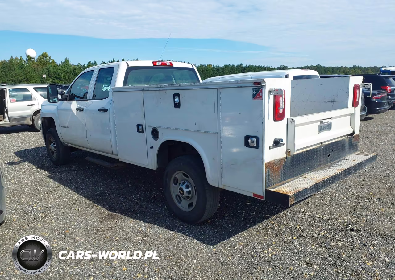 2019 Chevrolet Silverado 2500Hd Wt VIN:2GB2KREG2K1202203 - 3