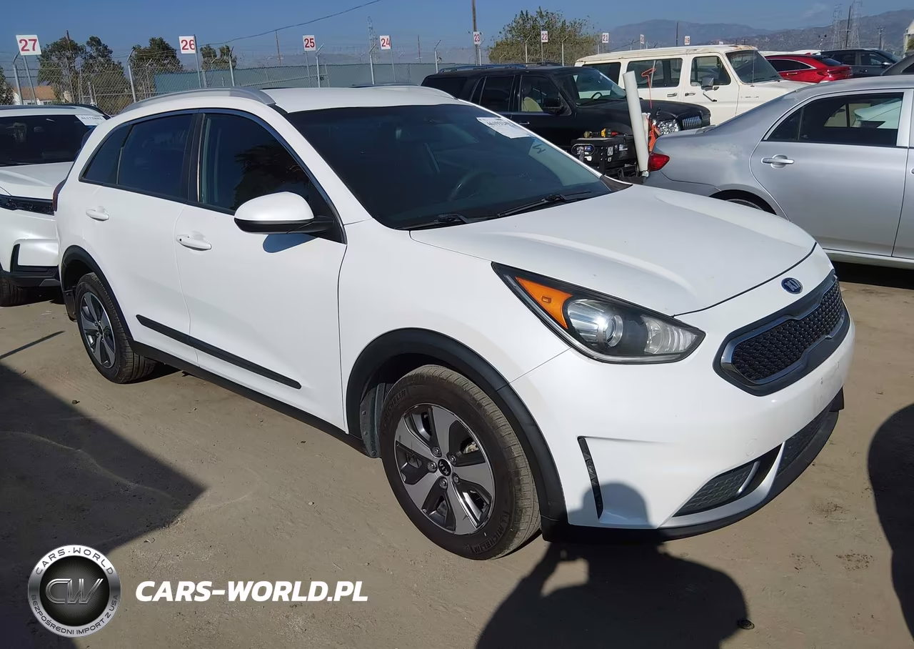 2019 Kia Niro Lx VIN:KNDCB3LC5K5217824 - 1