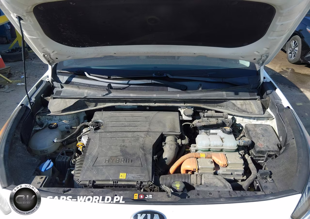 2019 Kia Niro Lx VIN:KNDCB3LC5K5217824 - 10