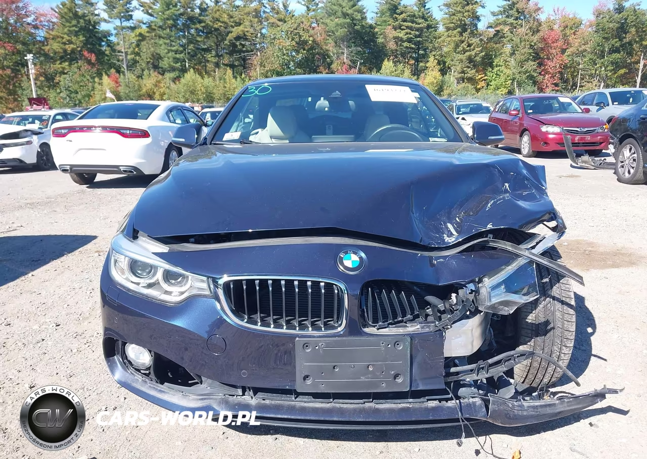 2017 BMW 430I xDrive VIN:WBA4U9C34H5H64335 - 19