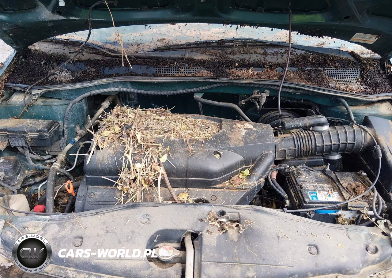 2002 Honda Odyssey Lx VIN:2HKRL18522H509808 - 10