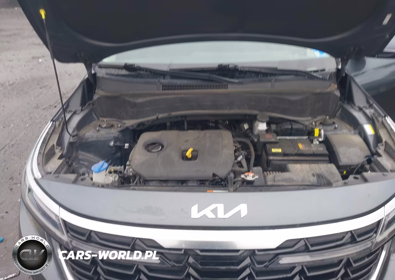 2024 Kia Seltos Ex VIN:KNDERCAA3R7548924 - 10