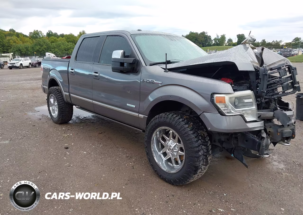 2013 Ford F-150 Platinum