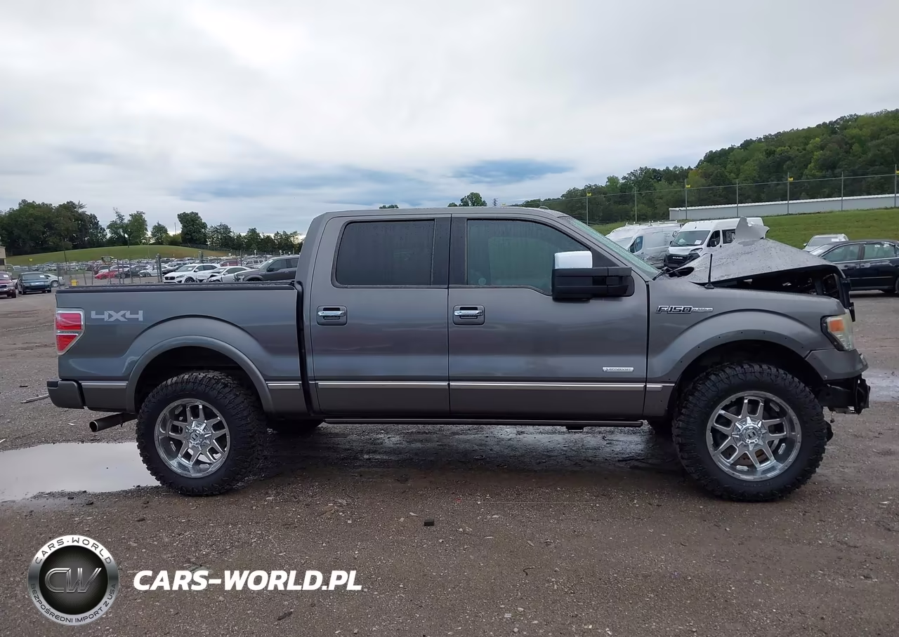 2013 Ford F-150 Platinum VIN:1FTFW1ET8DFB29463 - 13