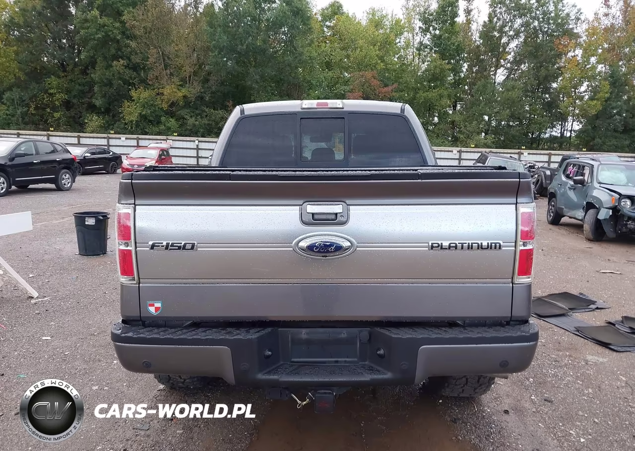 2013 Ford F-150 Platinum VIN:1FTFW1ET8DFB29463 - 16