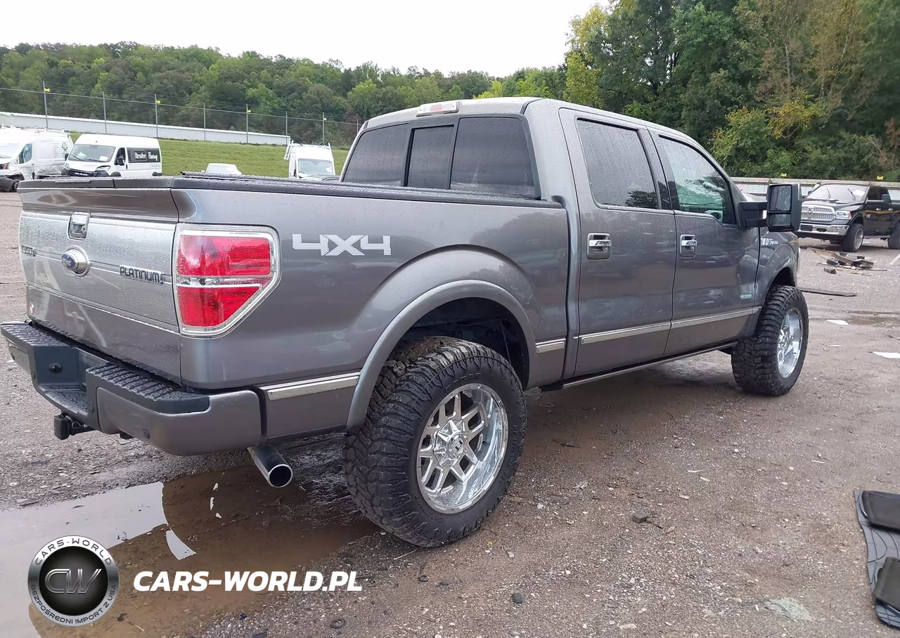 2013 Ford F-150 Platinum VIN:1FTFW1ET8DFB29463 - 4
