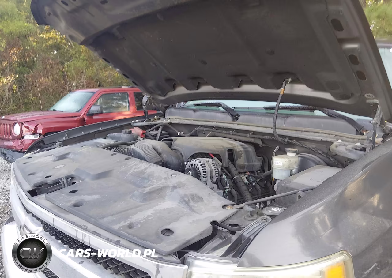 2011 Chevrolet Silverado 1500 Lt VIN:1GCRCSE01BZ145436 - 10
