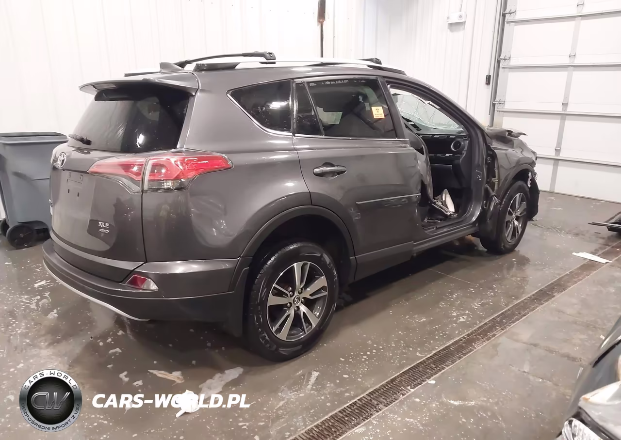 2016 Toyota Rav4 Xle VIN:2T3RFREV1GW502262 - 4