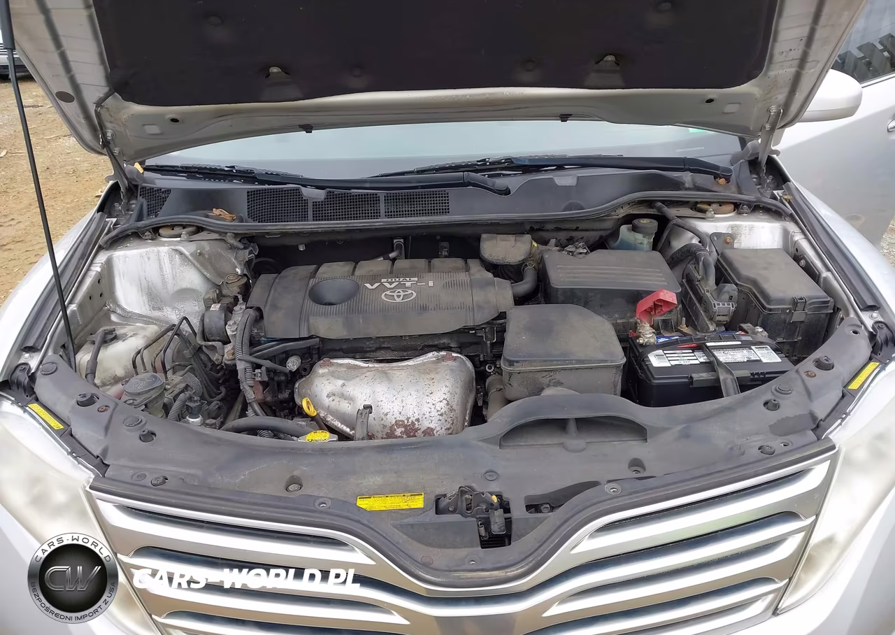 2009 Toyota Venza VIN:4T3ZE11A29U014383 - 10
