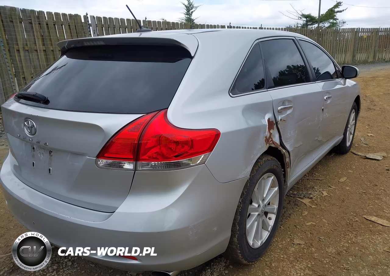 2009 Toyota Venza VIN:4T3ZE11A29U014383 - 4