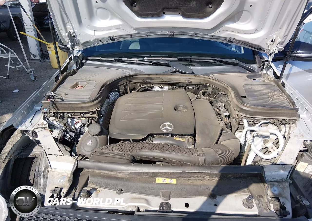 2020 Mercedes-Benz Glc 300 VIN:W1N0G8DBXLF810705 - 10
