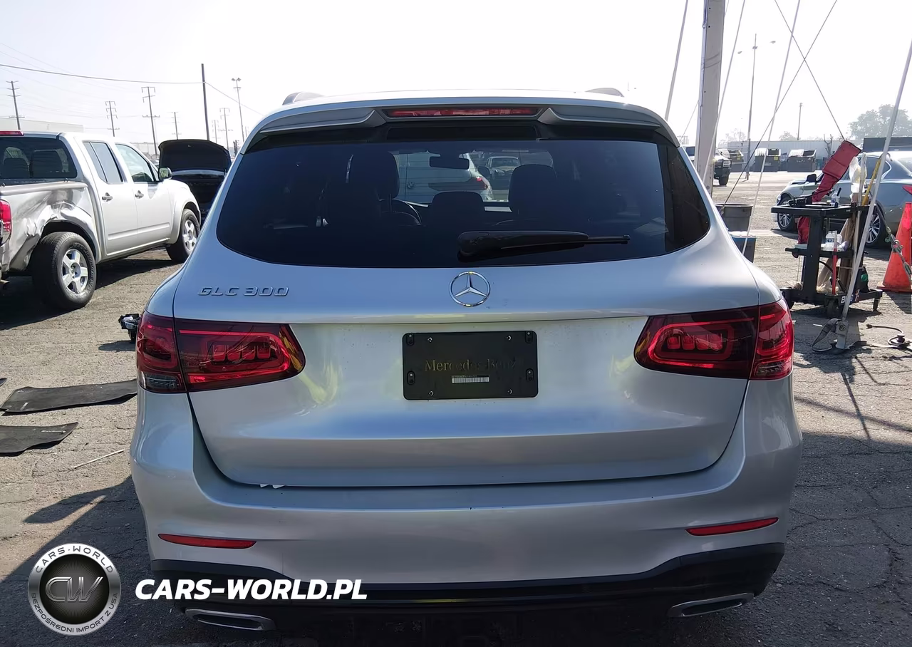 2020 Mercedes-Benz Glc 300 VIN:W1N0G8DBXLF810705 - 17