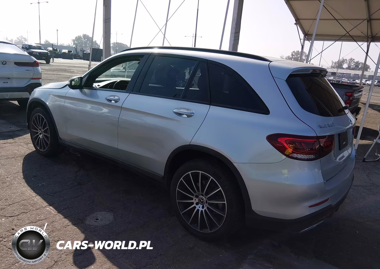 2020 Mercedes-Benz Glc 300 VIN:W1N0G8DBXLF810705 - 3