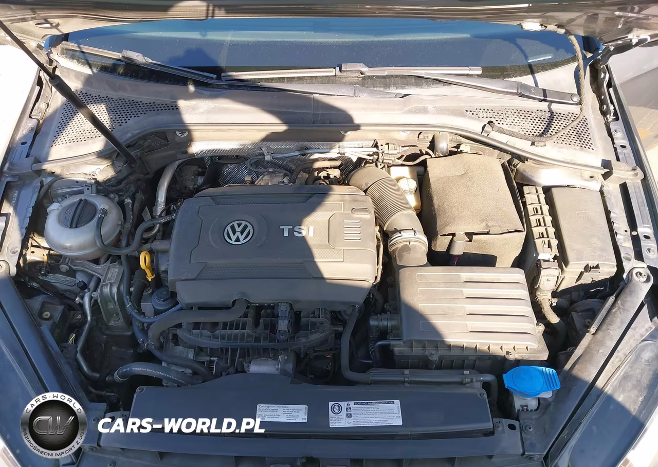 2017 Volkswagen Golf Tsi S 4-Door-Tsi Se 4-Door-Tsi Sel 4-Door-Tsi Wolfsburg Edition 4-Door VIN:3VW217AU5HM022808 - 10