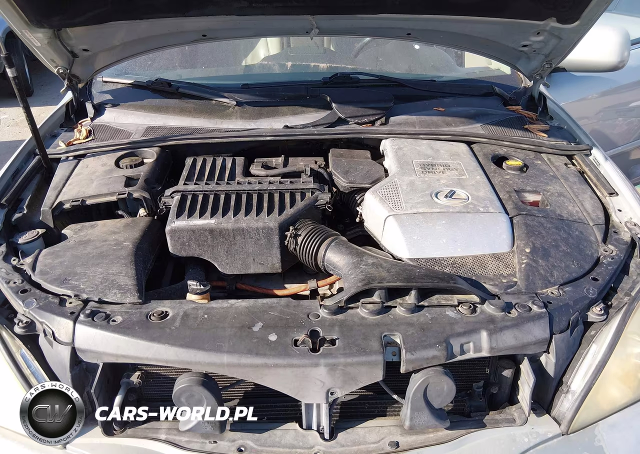 2006 Lexus Rx 400H VIN:JTJHW31U660016178 - 10