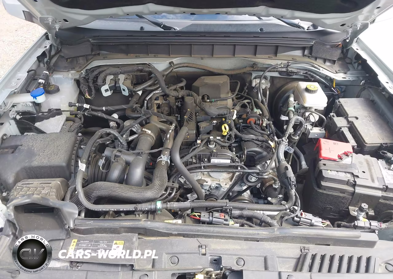 2024 Ford Bronco Outer Banks VIN:1FMDE8BH8RLB38347 - 10