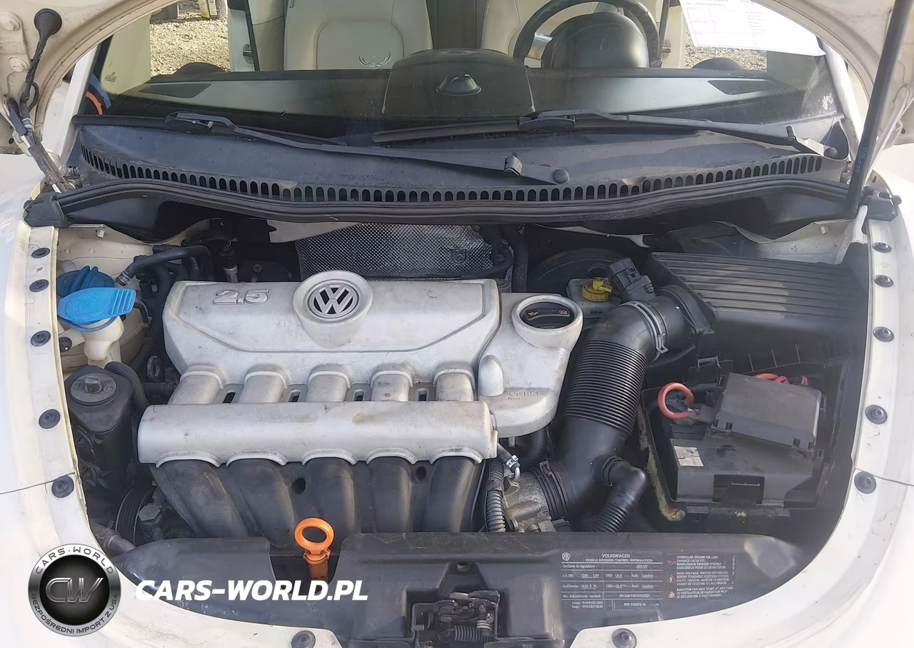 2009 Volkswagen New Beetle 2.5L VIN:3VWRF31YX9M401476 - 10