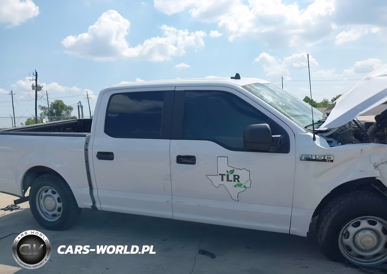 2020 Ford F-150 Xl VIN:1FTEW1CB0LKD67285 - 13