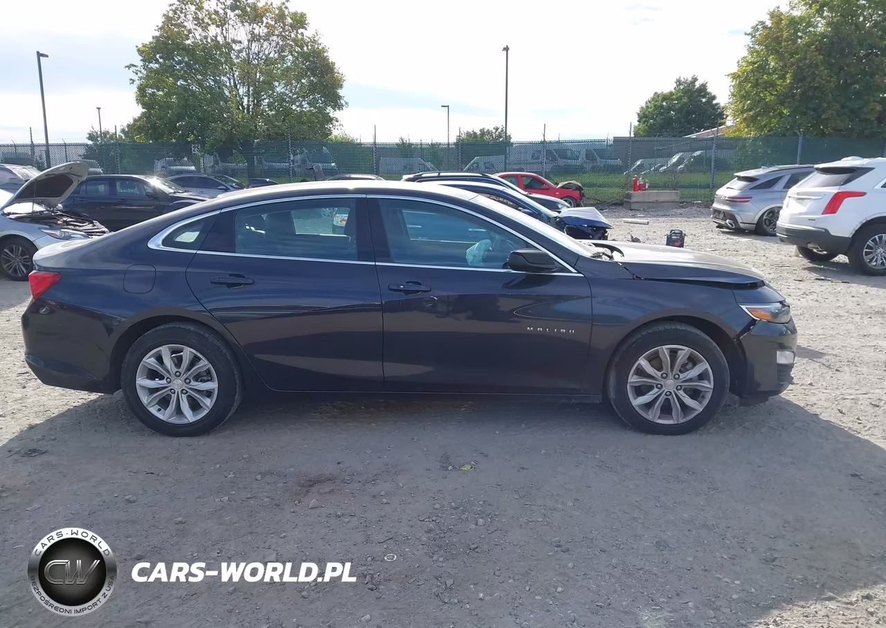 2023 Chevrolet Malibu Fwd 1Lt VIN:1G1ZD5ST3PF241826 - 12