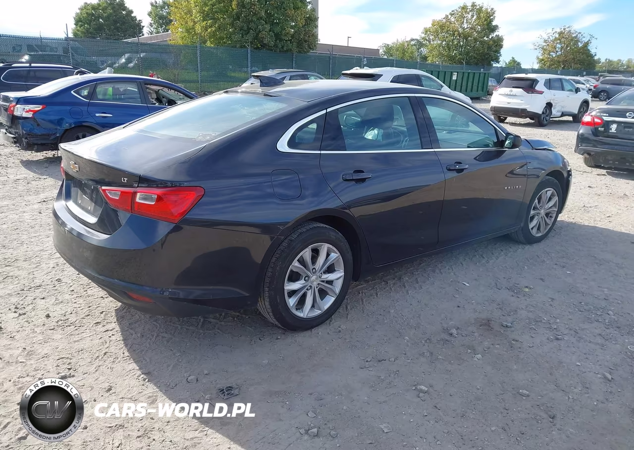 2023 Chevrolet Malibu Fwd 1Lt VIN:1G1ZD5ST3PF241826 - 4