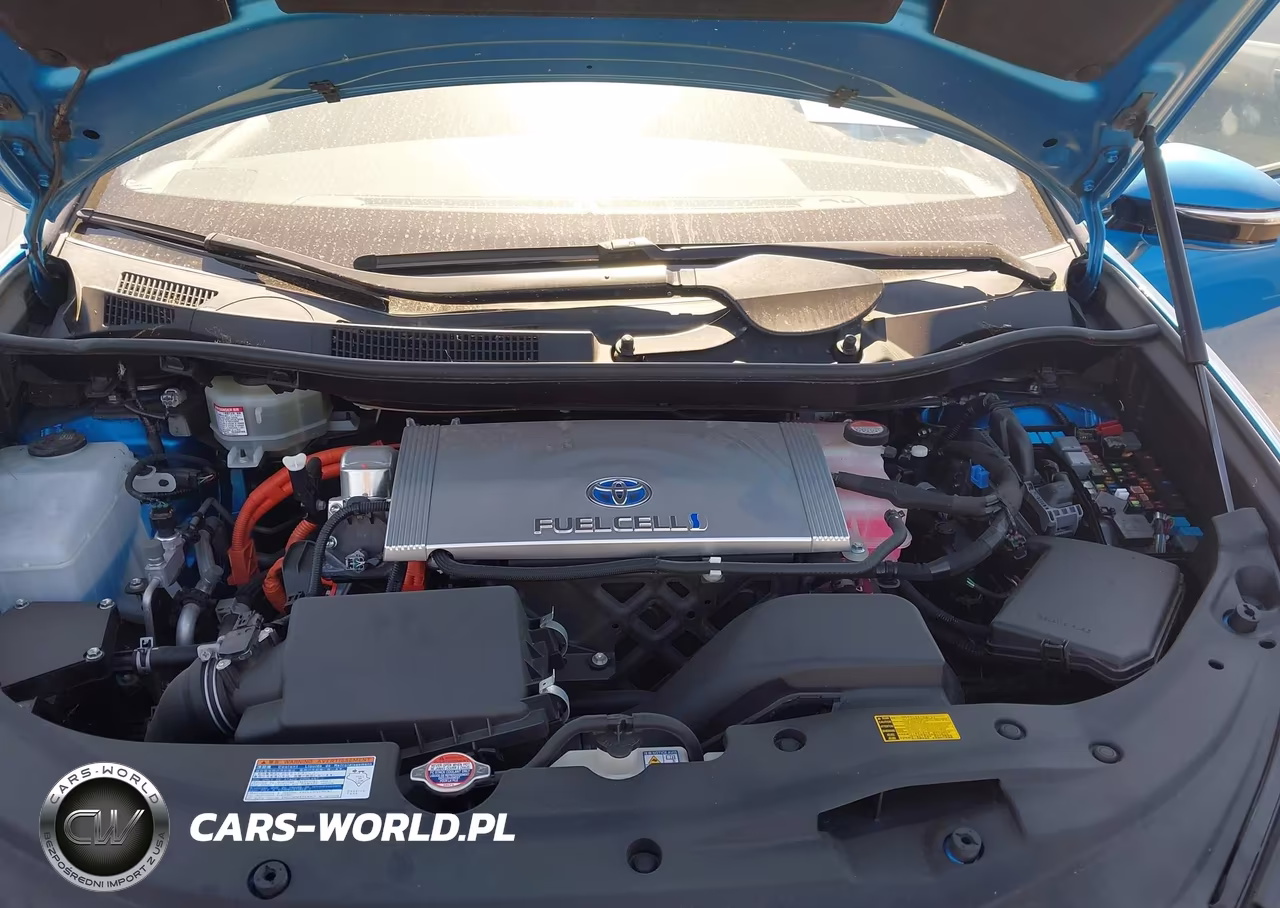 2018 Toyota Mirai VIN:JTDBVRBD0JA005452 - 10