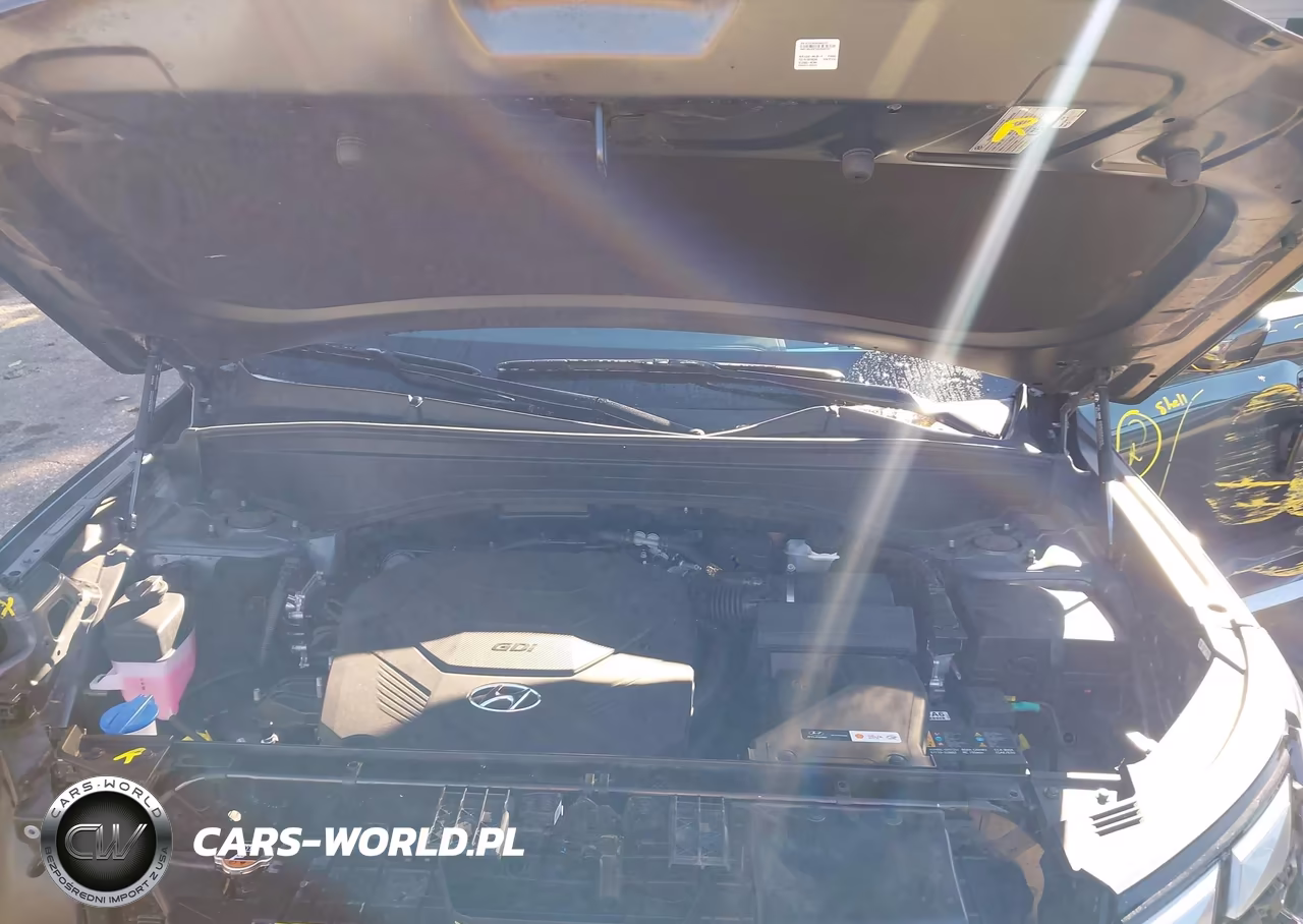 2025 Hyundai Palisade Calligraphy VIN:KM8R7DGE8SU818174 - 10