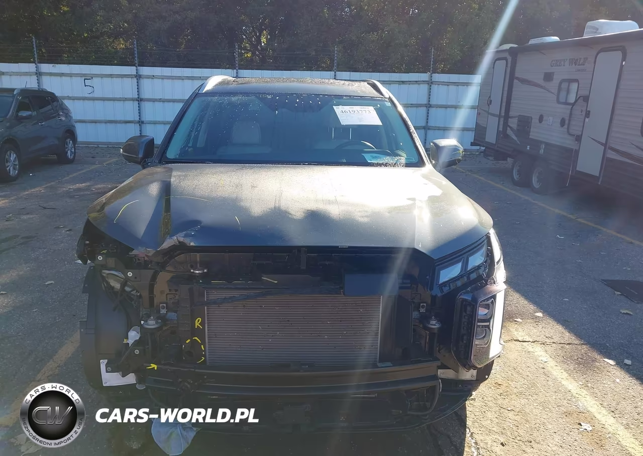 2025 Hyundai Palisade Calligraphy VIN:KM8R7DGE8SU818174 - 12