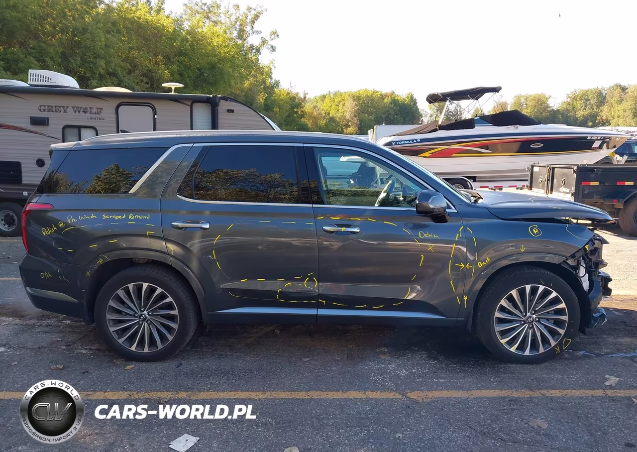 2025 Hyundai Palisade Calligraphy VIN:KM8R7DGE8SU818174 - 13