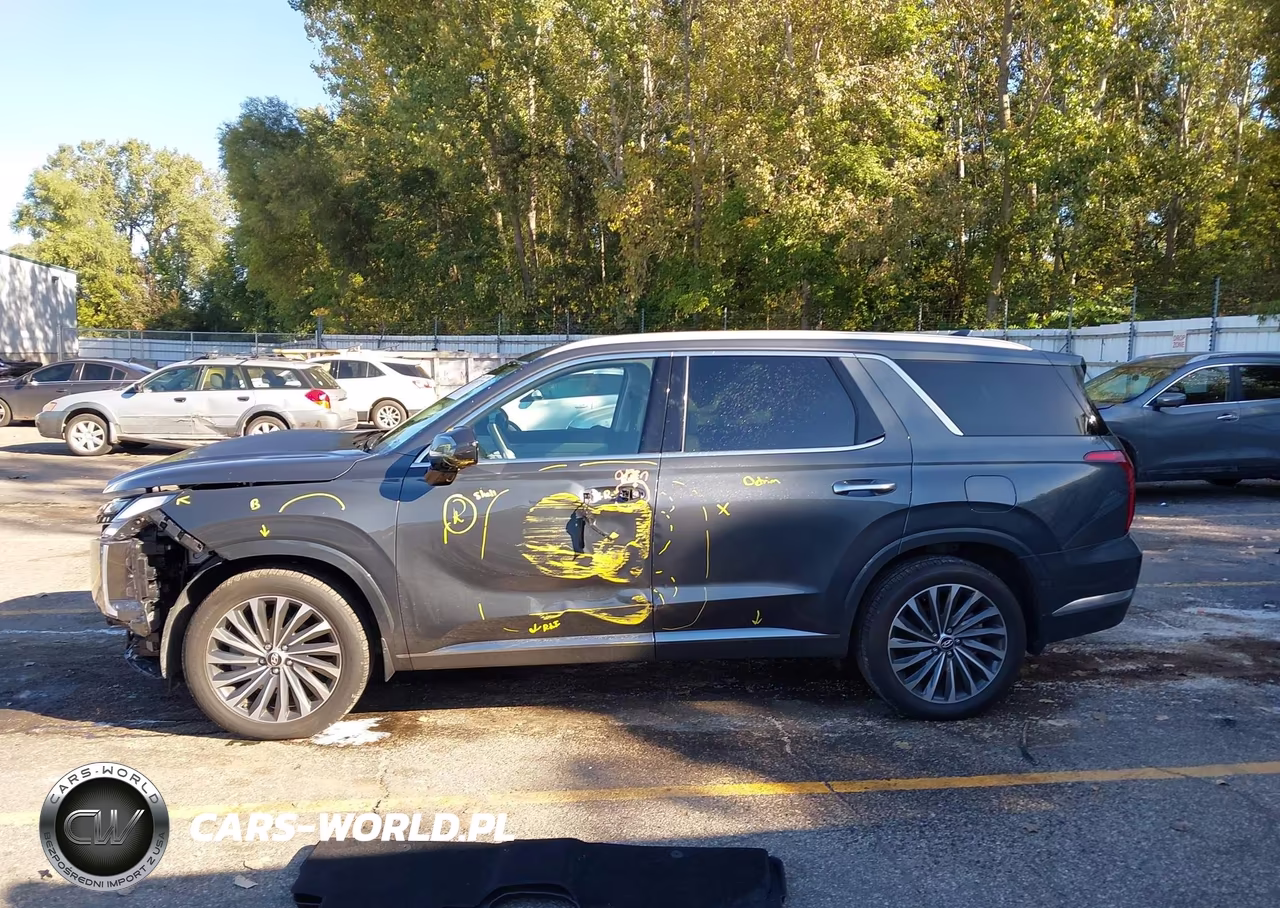2025 Hyundai Palisade Calligraphy VIN:KM8R7DGE8SU818174 - 14