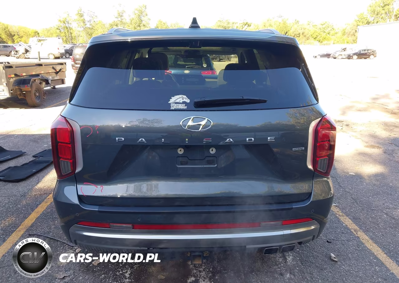 2025 Hyundai Palisade Calligraphy VIN:KM8R7DGE8SU818174 - 16