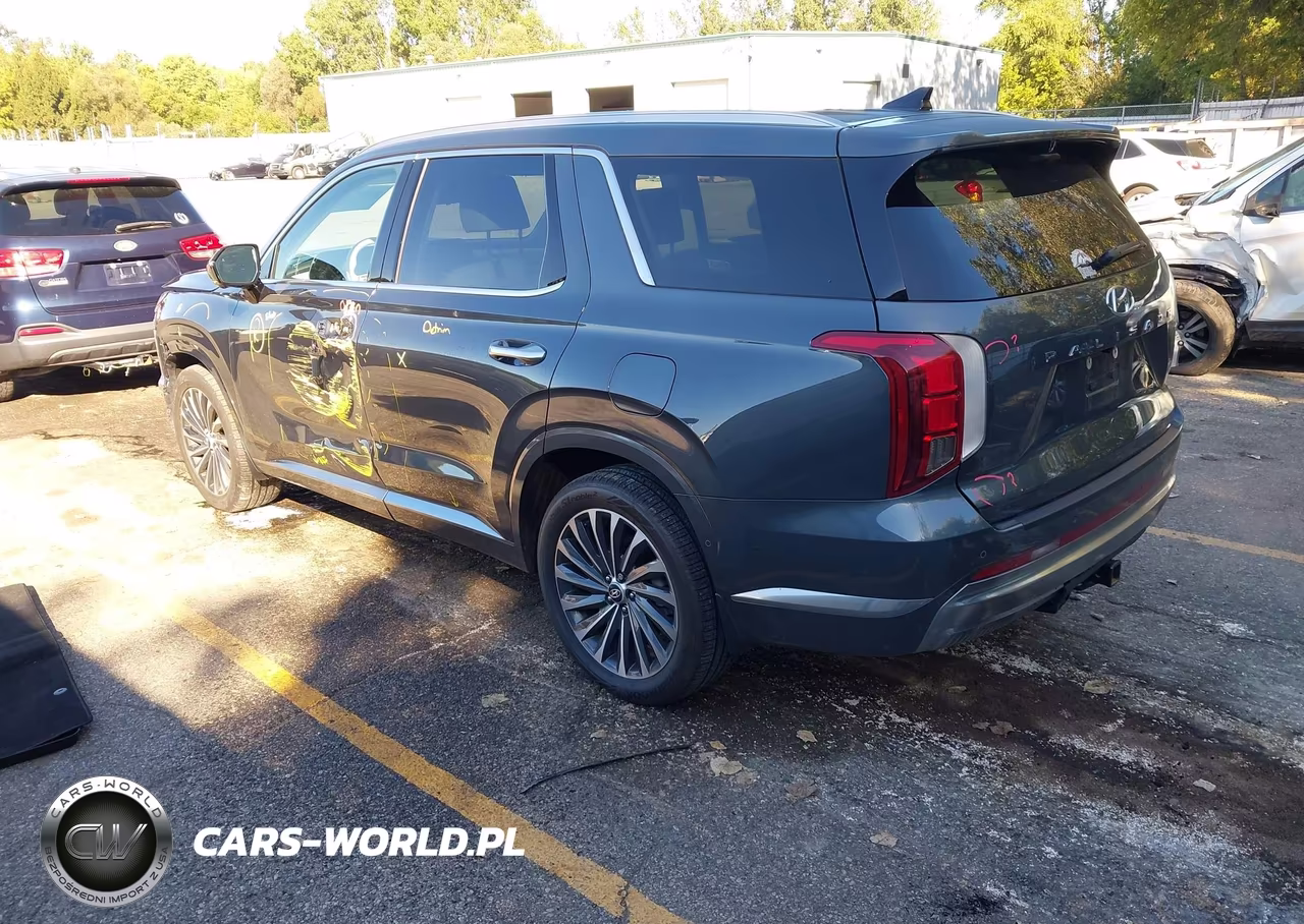 2025 Hyundai Palisade Calligraphy VIN:KM8R7DGE8SU818174 - 3