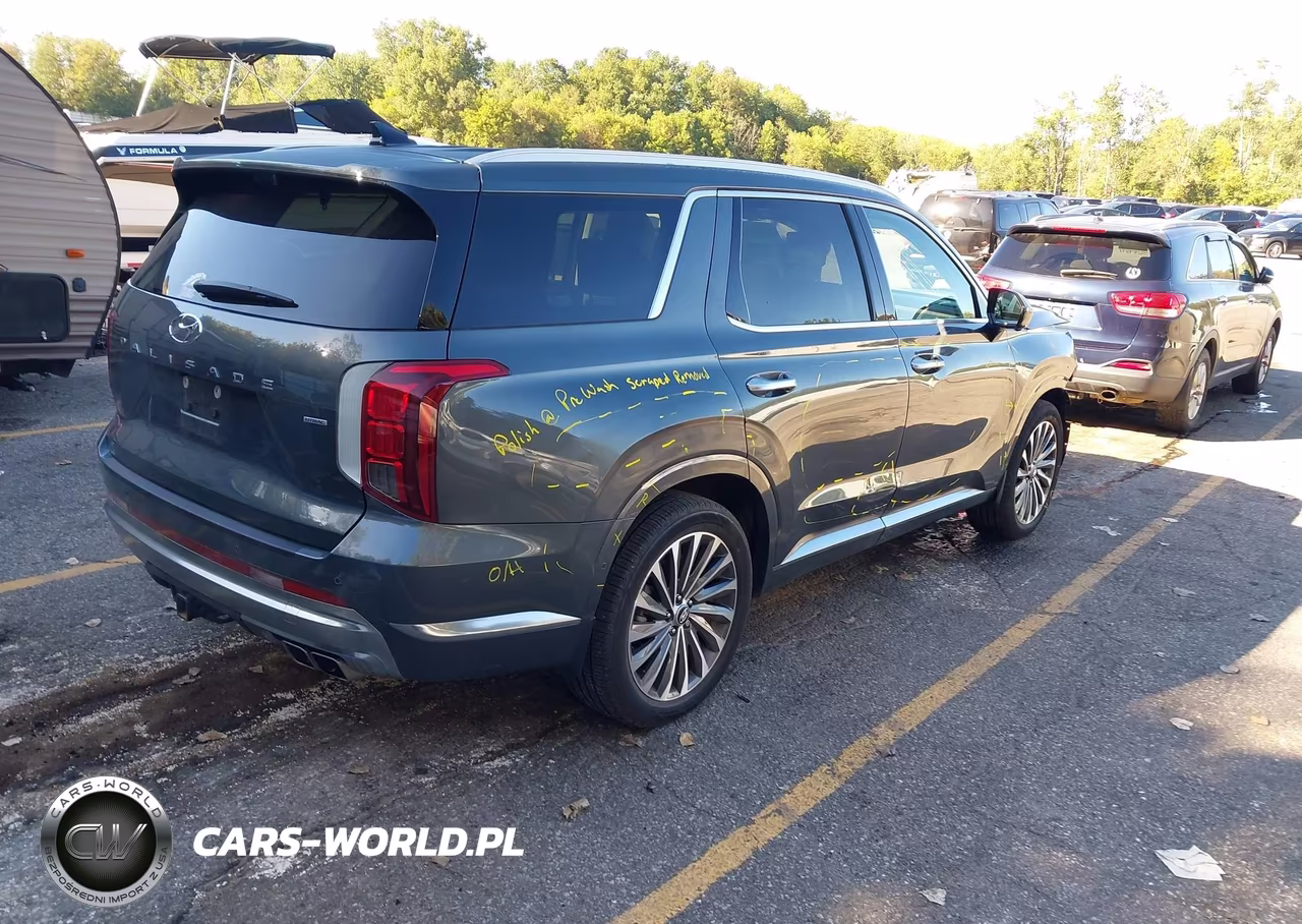 2025 Hyundai Palisade Calligraphy VIN:KM8R7DGE8SU818174 - 4