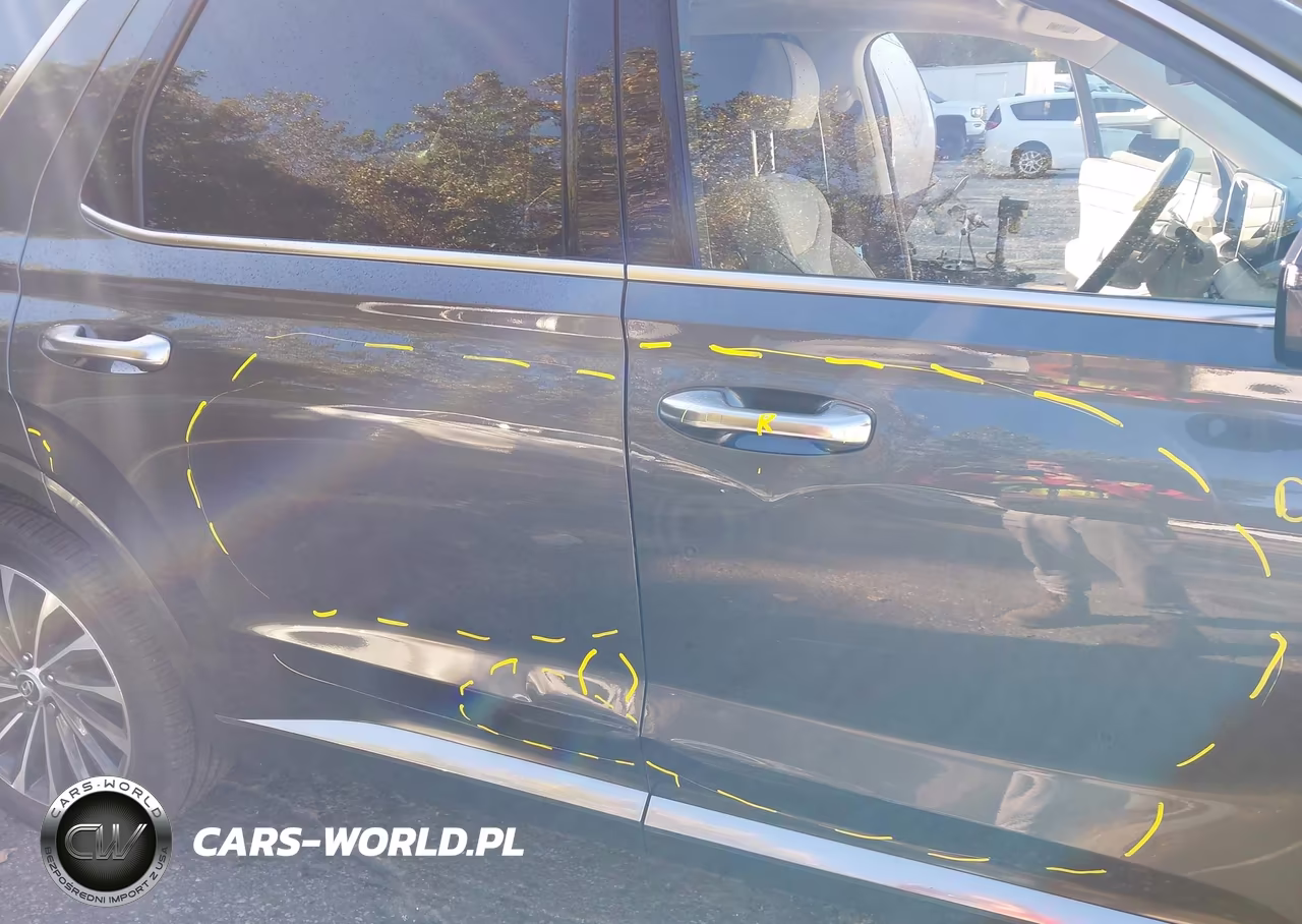 2025 Hyundai Palisade Calligraphy VIN:KM8R7DGE8SU818174 - 6