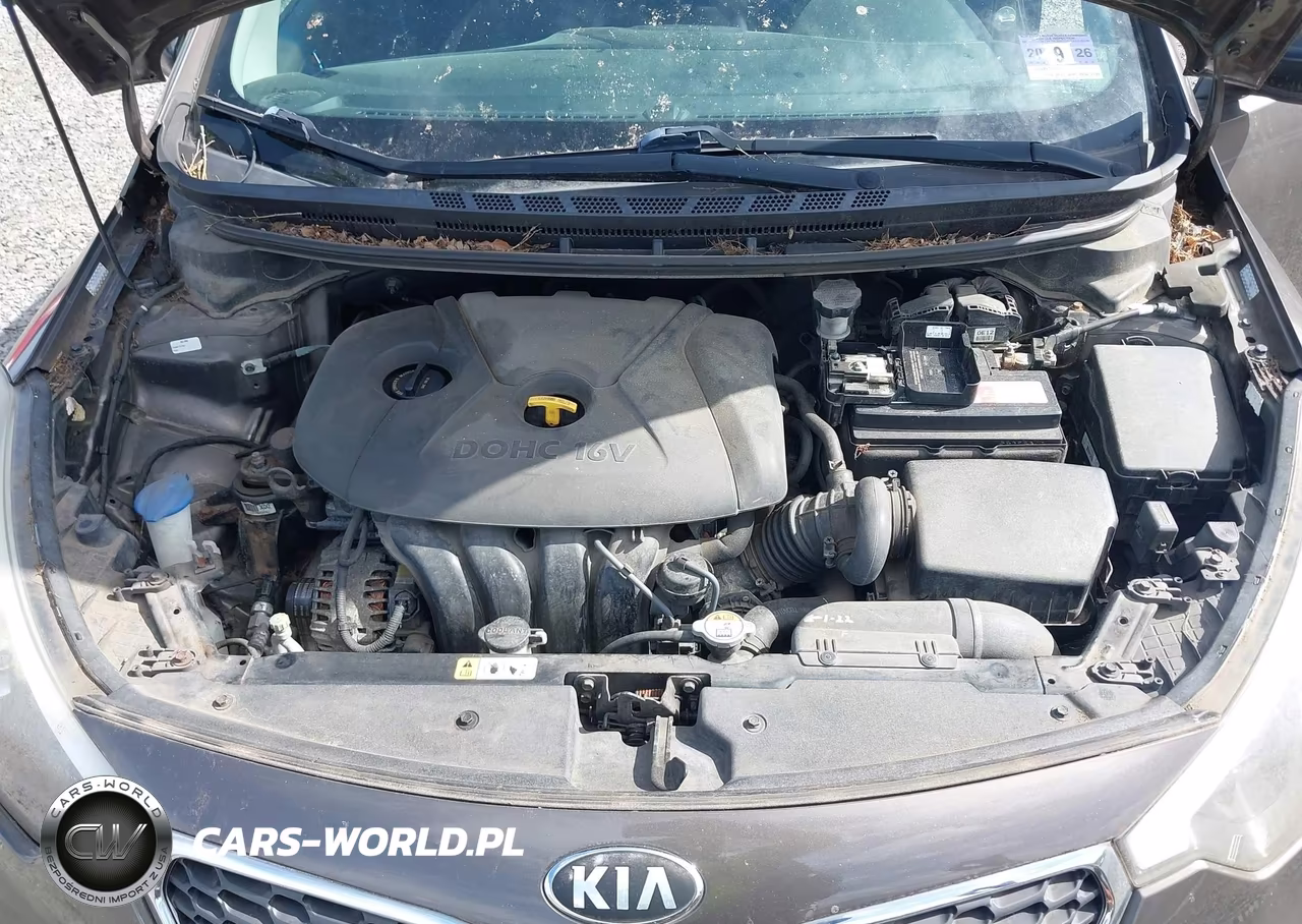2014 Kia Forte Lx VIN:KNAFX4A68E5064116 - 10
