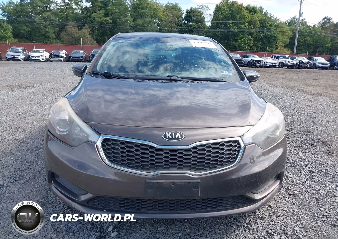 2014 Kia Forte Lx VIN:KNAFX4A68E5064116 - 11