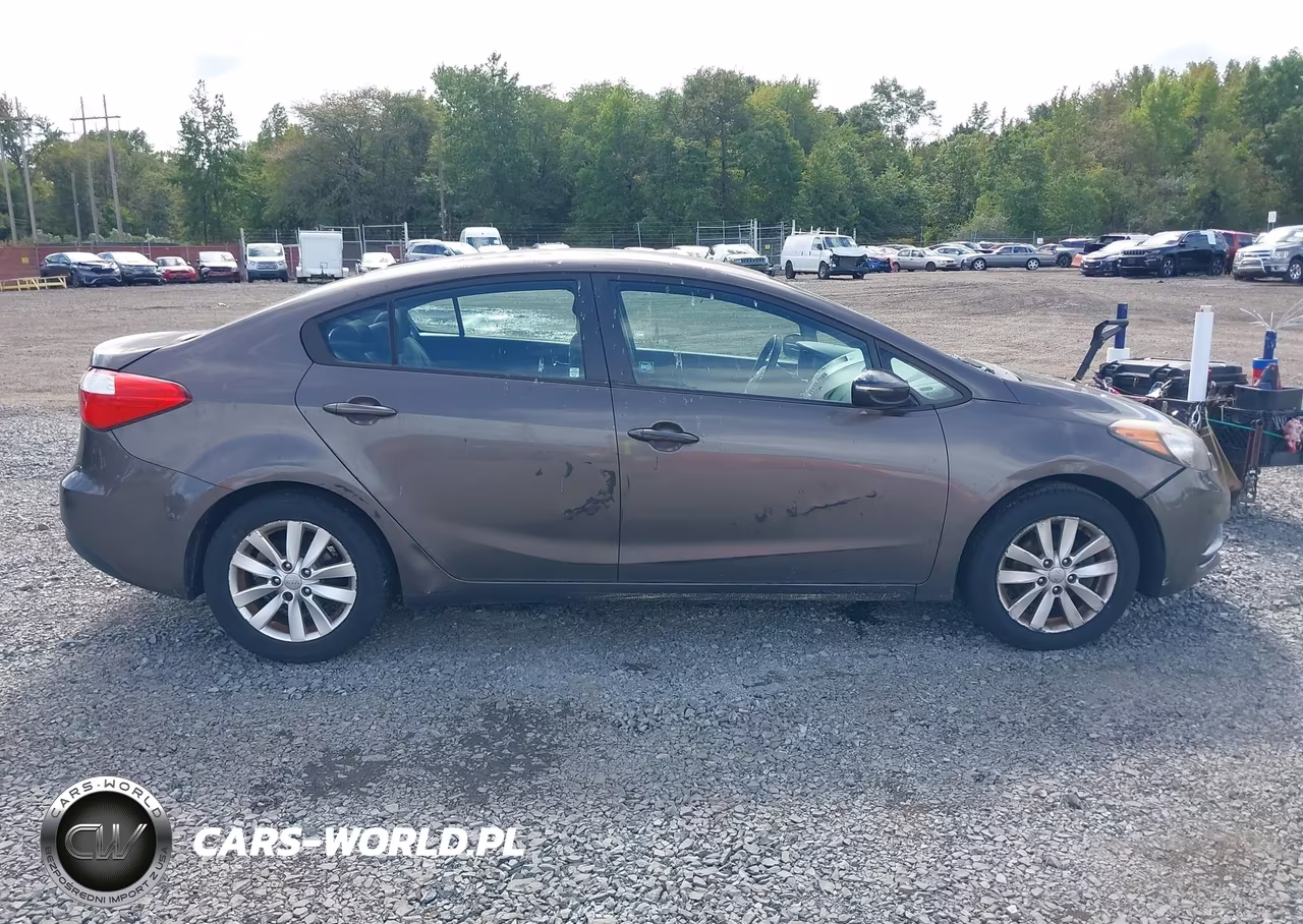 2014 Kia Forte Lx VIN:KNAFX4A68E5064116 - 12