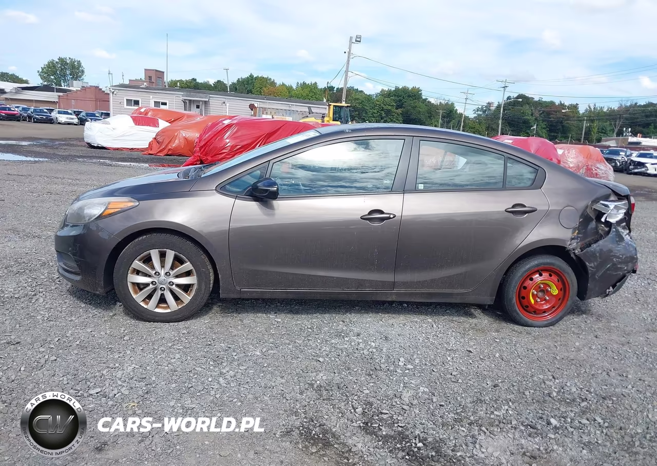 2014 Kia Forte Lx VIN:KNAFX4A68E5064116 - 13