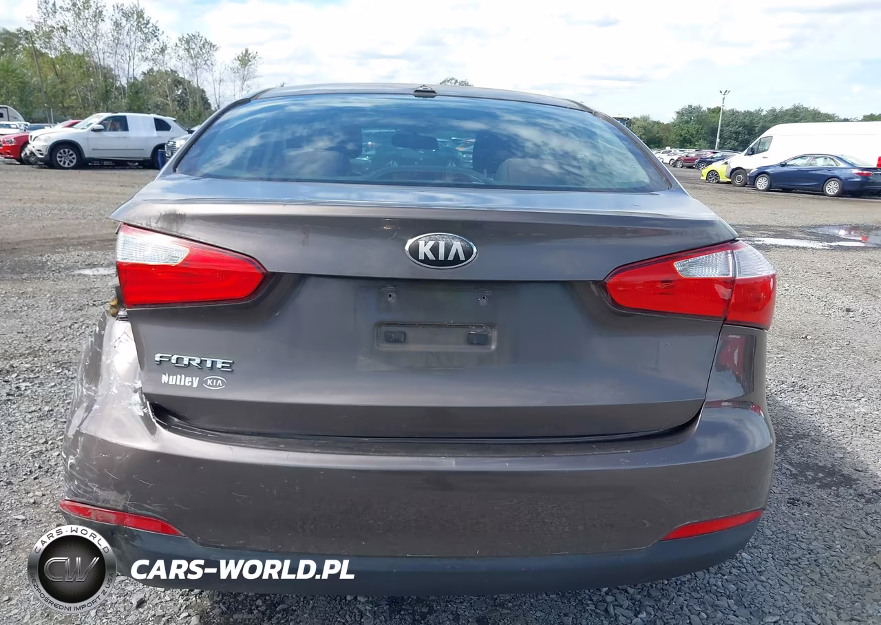 2014 Kia Forte Lx VIN:KNAFX4A68E5064116 - 15