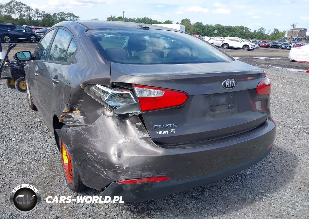 2014 Kia Forte Lx VIN:KNAFX4A68E5064116 - 16