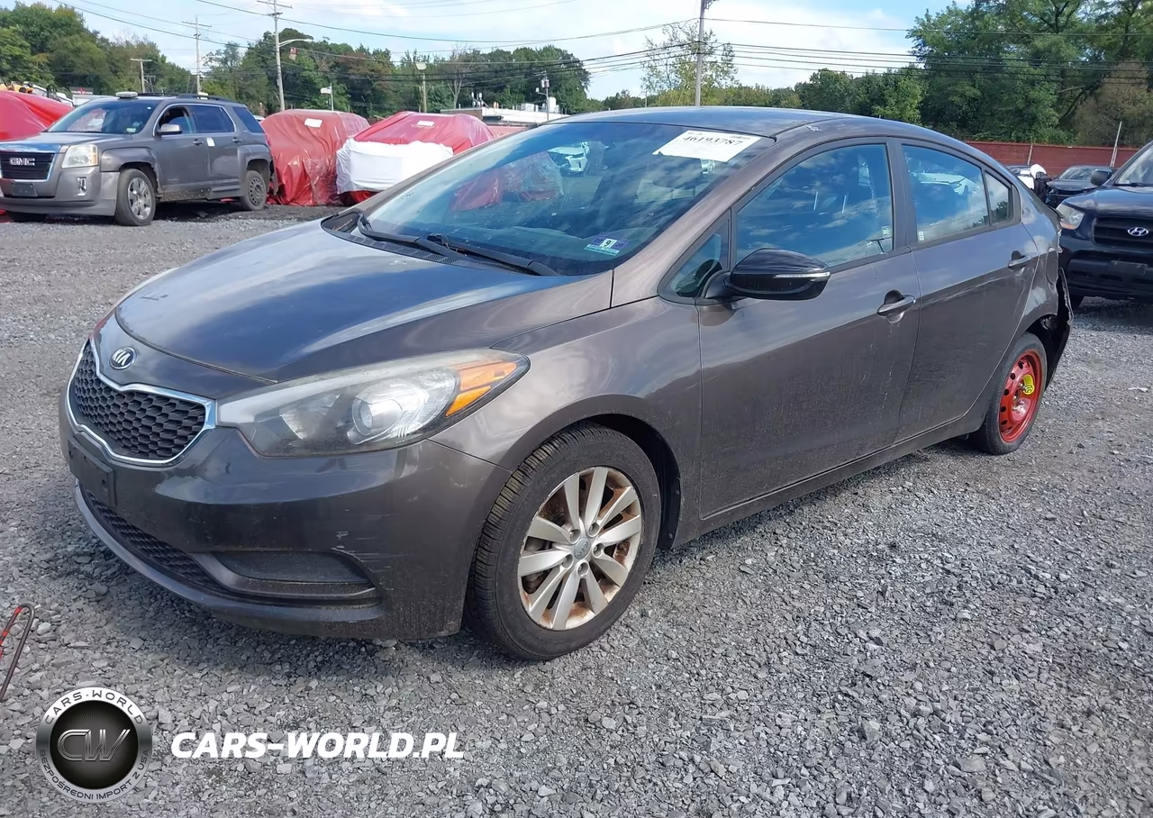 2014 Kia Forte Lx VIN:KNAFX4A68E5064116 - 2