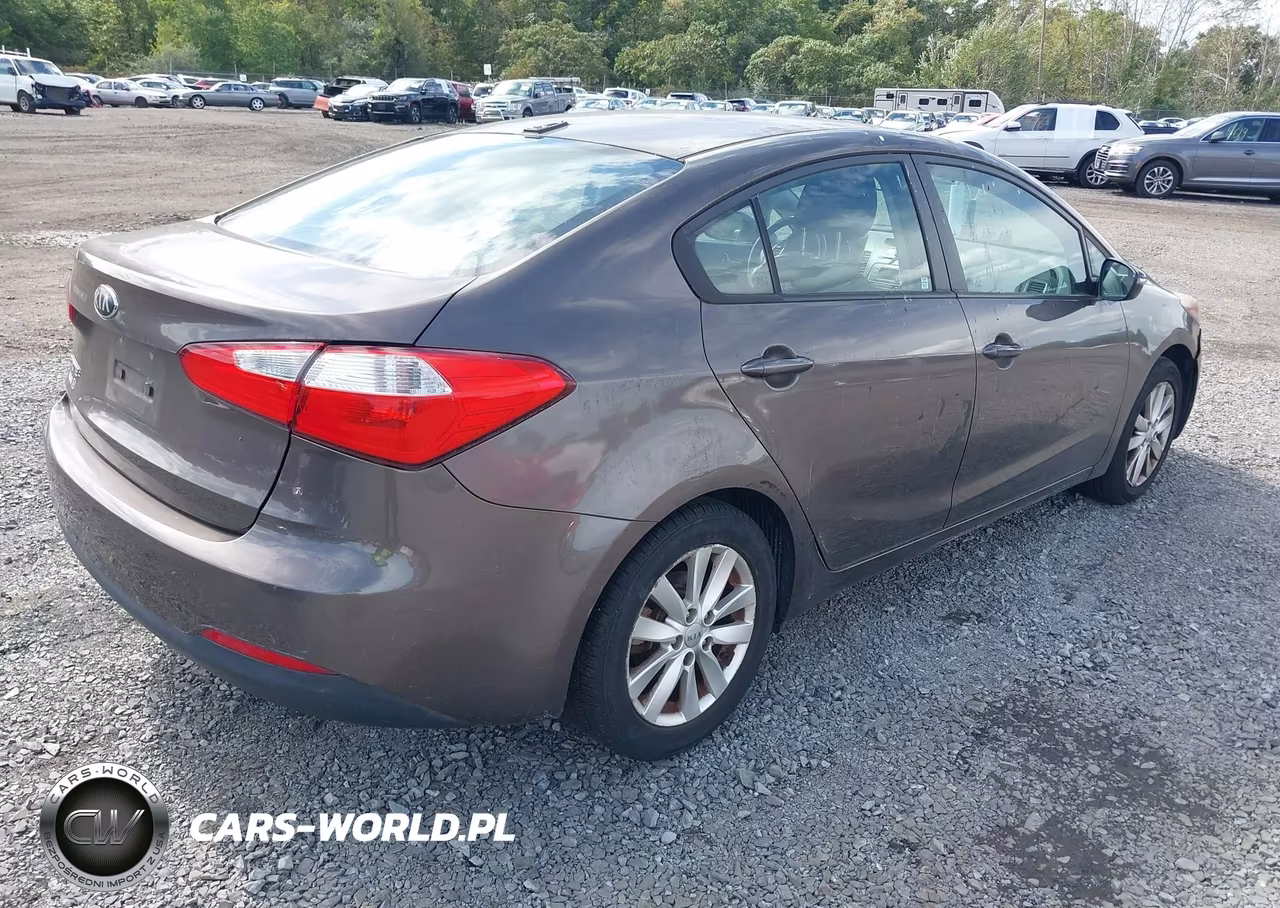 2014 Kia Forte Lx VIN:KNAFX4A68E5064116 - 4