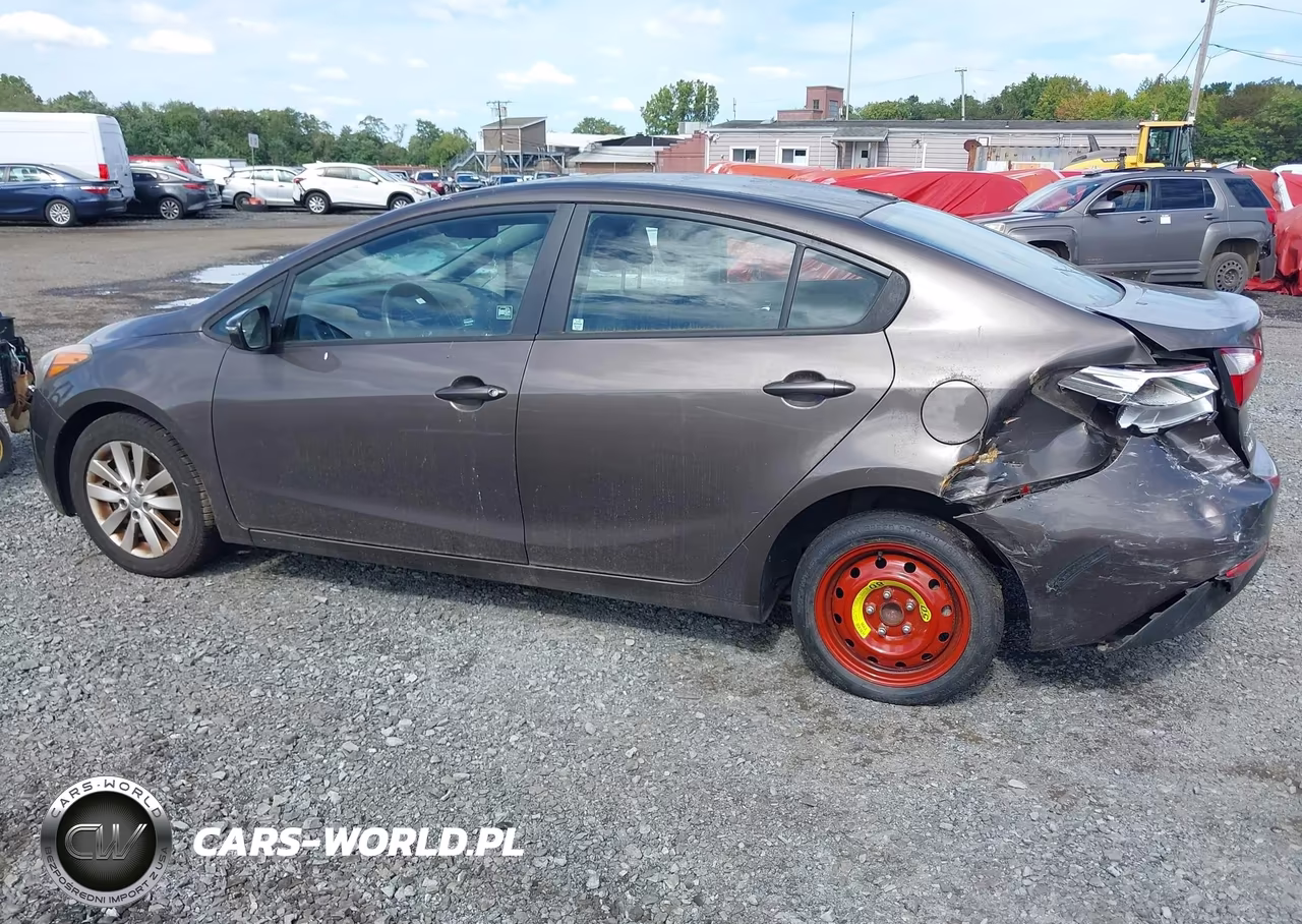 2014 Kia Forte Lx VIN:KNAFX4A68E5064116 - 6