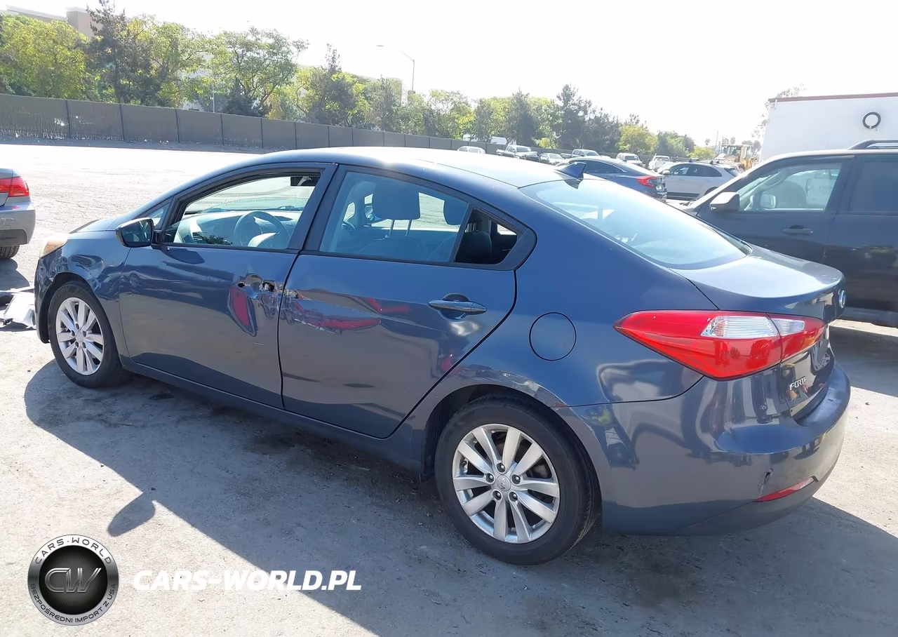 2014 Kia Forte Lx VIN:KNAFX4A64E5240420 - 3