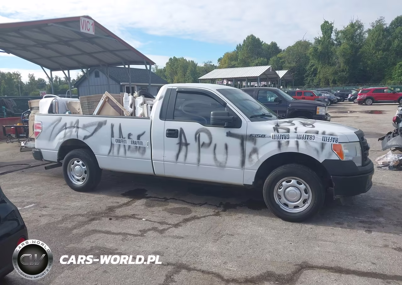2013 Ford F-150 Xl VIN:1FTMF1CM2DKE80802 - 13