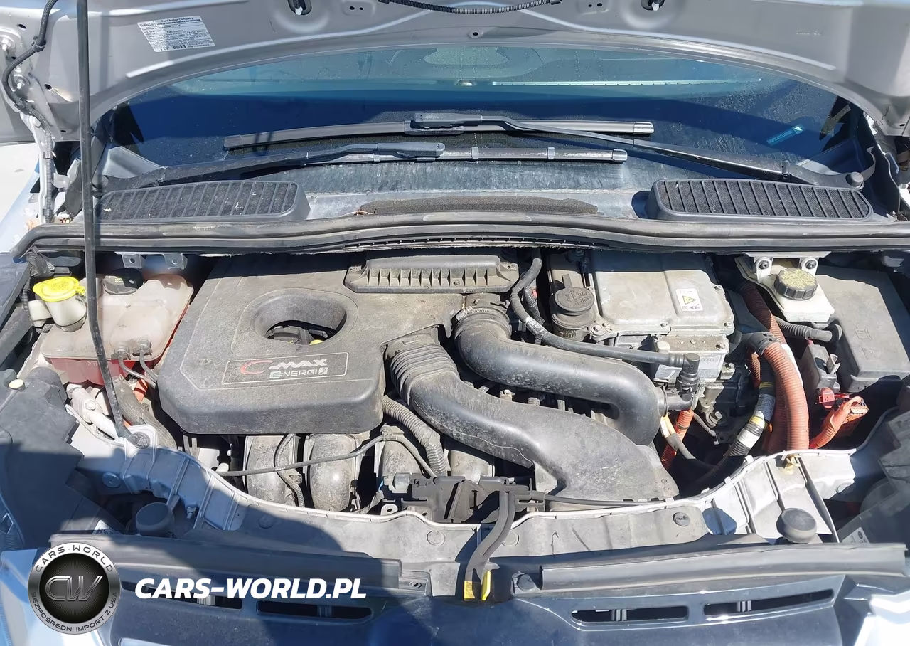 2014 Ford C-Max Energi Sel VIN:1FADP5CU1EL509809 - 10