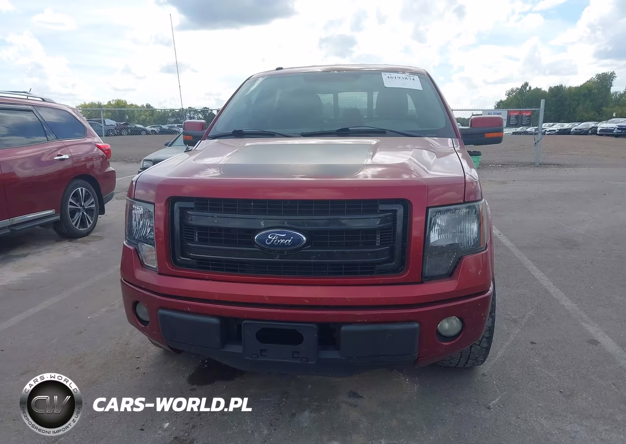 2013 Ford F-150 Fx2 VIN:1FTFW1CT9DFD00787 - 12